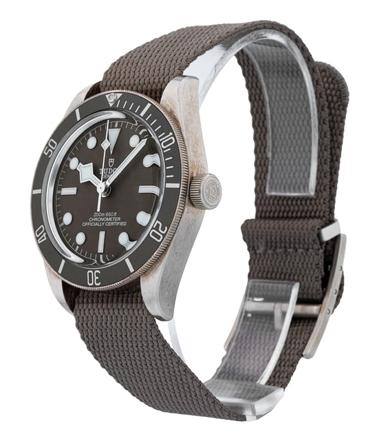 Tudor Black Bay 58 M79010SG-0002 Image 2
